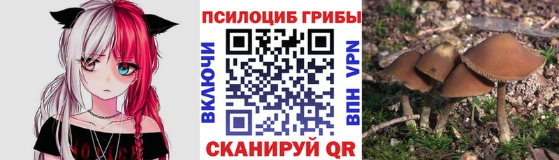 Купить где  Ивдель  Галлюциногенные грибы мицелий 